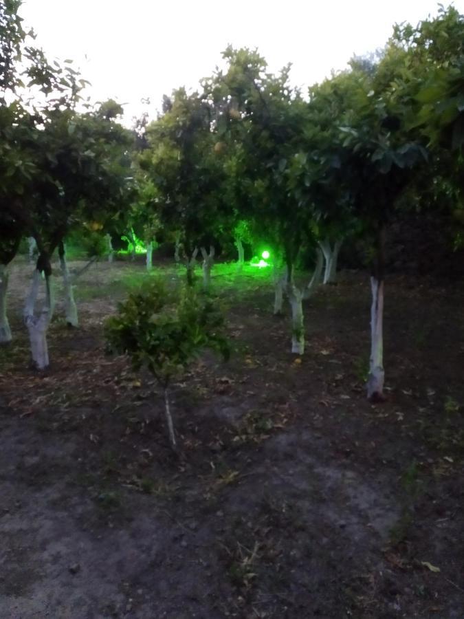 Περιβόλι Του Οδυσσέα Villa Volissos Ngoại thất bức ảnh